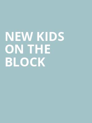 New Kids On The Block, Viejas Arena, San Diego