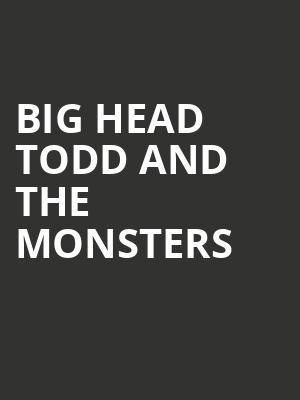 Big Head Todd and the Monsters Poster