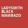Ladysmith Black Mambazo, Belly Up Tavern, San Diego