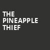 The Pineapple Thief, Belly Up Tavern, San Diego
